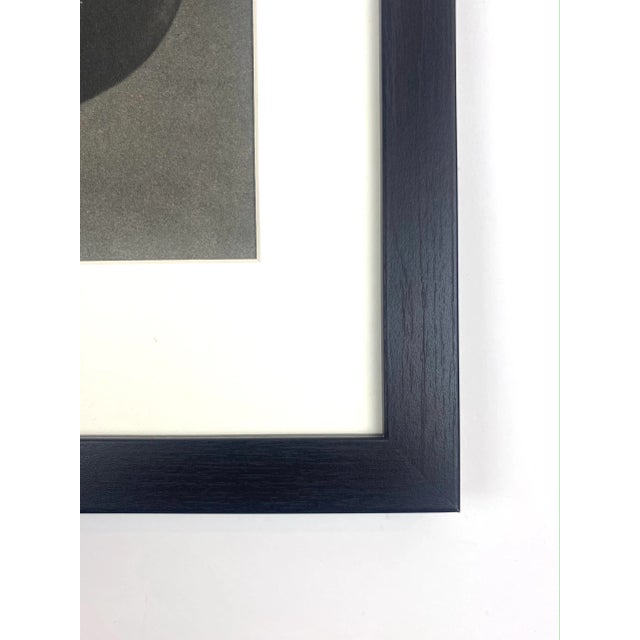 1940s Framed Botanical Blossfeldt Print - No. 46 For Sale - Image 4 of 5