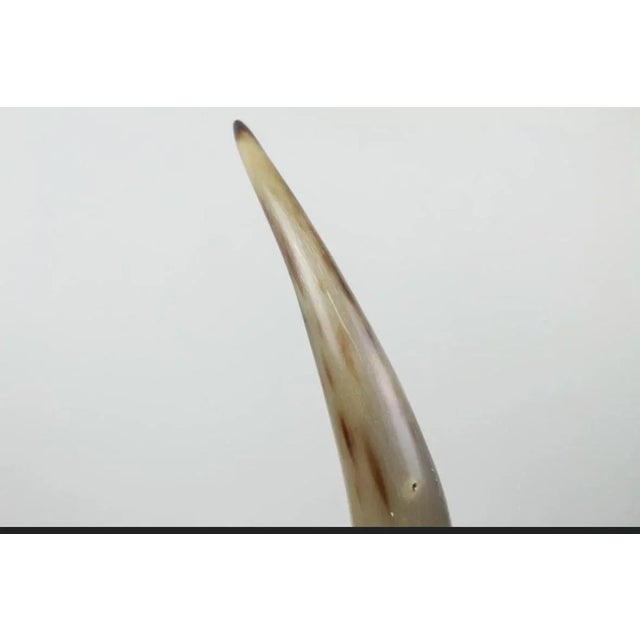 1990s 1990s Lucite Mounted Steer Horn For Sale - Image 5 of 9