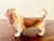 English Porcelain Basset Hound Figurine For Sale - Image 9 of 13