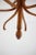 Wood Beech Coat Hanger attributed to Ton for Thonet, Czechoslovakia,1980s For Sale - Image 7 of 12