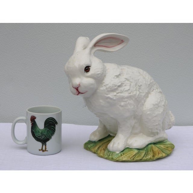 A beautiful A Due Tosin white rabbit sitting on a tuff of yellow green grass. I love the way the greens and yellows pop...