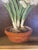 20th Century Oil Painting Paper Whites For Sale - Image 4 of 6