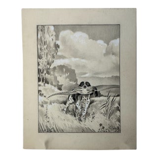 Original Signed Graphite Illustration of Hunting Dog Retrieving Pheasant, 7.25 × 9 In. For Sale