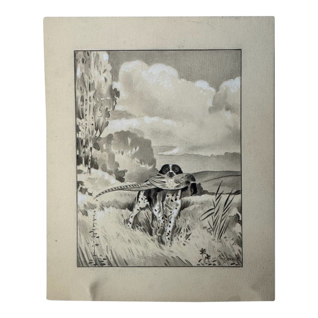 Original Signed Graphite Illustration of Hunting Dog Retrieving Pheasant, 7.25 × 9 In. For Sale