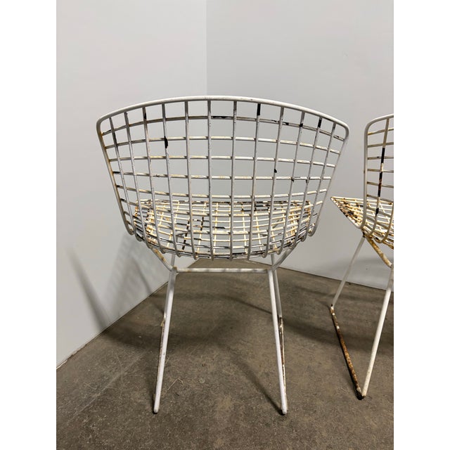 From a time capsule estate in Florida this is a pair of legendary design chairs. Super well made. Sturdy and comfortable....