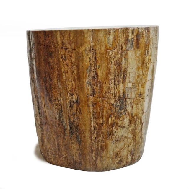 Contemporary Petrified Wood Vintage Stump Side Table / Stool For Sale - Image 3 of 4