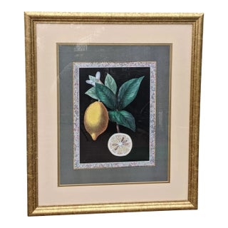 Vintage Chelsea House Lemon Print With Marbled Border Framed For Sale