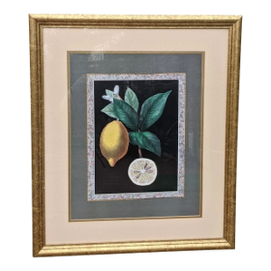 Vintage Chelsea House Lemon Print With Marbled Border Framed