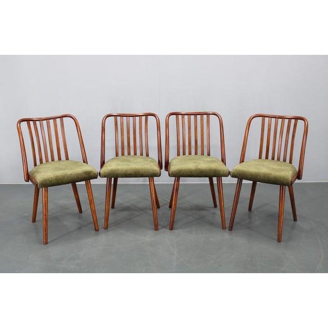Mid-Century Modern Beech Dining Chairs, 1960s, Set of 4 For Sale - Image 16 of 17