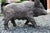 Stone Mid-20th Century English Cast Stone Razorback Boar Garden Figure For Sale - Image 7 of 7