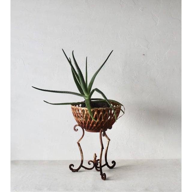 Vintage Cast Iron Rustic Basket Style Plant Stand Patina Mid-Century For Sale - Image 10 of 10