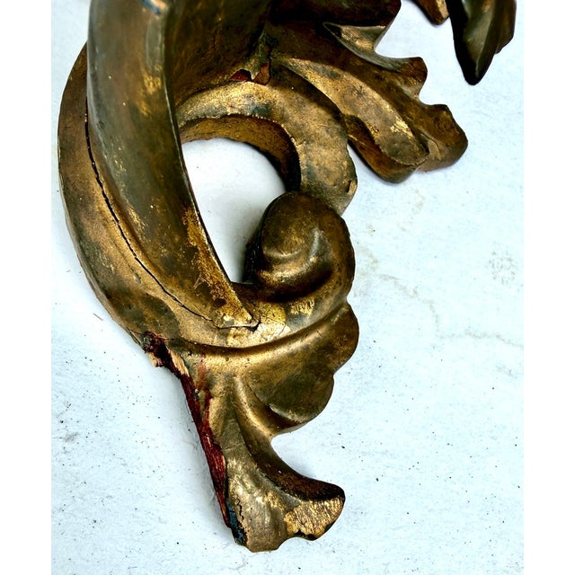 Pair Rococo Carved Giltwood Wall Brackets With Acanthus Scrolls, Italy Early 20th Century For Sale - Image 17 of 18