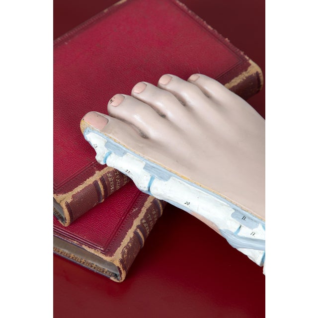 Vintage Anatomical Foot Model For Sale - Image 5 of 8