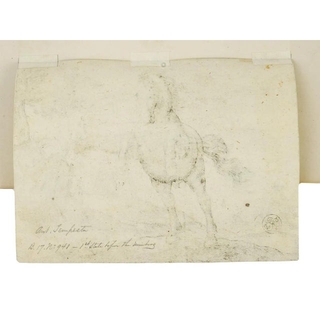 16th Century Antique Old Master Horse Etchings by Antonio Tempesta C 1590 on Paper, Set of 5 For Sale - Image 11 of 12