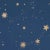 Children's Sample - Schumacher x Marie-Chantal Scattered Stars Wallpaper in Night For Sale - Image 3 of 4