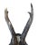 Vintage Black Forest German Mounted Roe Deer Antlers on Ebonized Plaque For Sale - Image 4 of 9