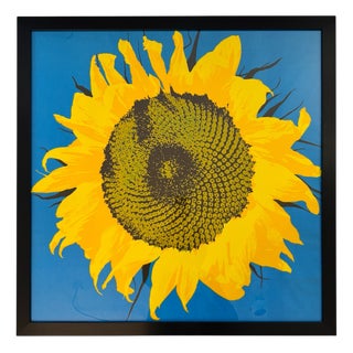 Jan Pienkowski, Pop Art Sunflower, 1961, Silk-Screen, Framed For Sale