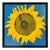 Jan Pienkowski, Pop Art Sunflower, 1961, Silk-Screen, Framed For Sale