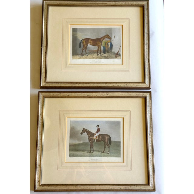 Mid 19th Century Mid 19th Century Set of 8 Antique English Hand-Colored Equestrian Engravings For Sale - Image 5 of 12