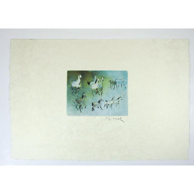 Modern Late 20th Century Kaiko Moti Horses in Blue Aquatint Etching For Sale - Image 3 of 4