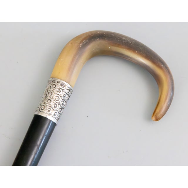 Antique English Horn & Sterling Walking Stick For Sale In Houston - Image 6 of 7