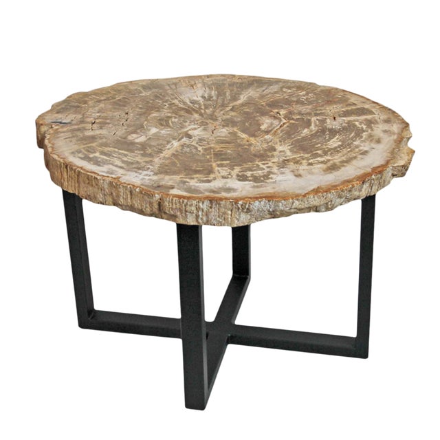 Petrified Wood Slice Side Table For Sale