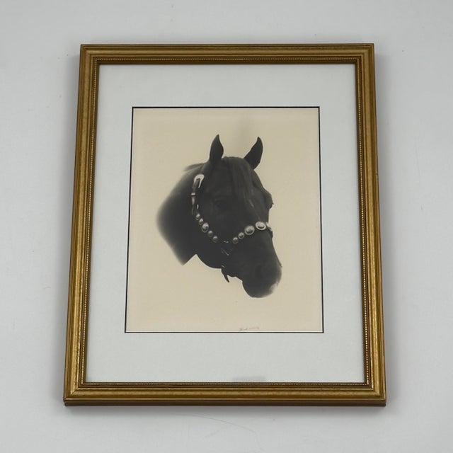 1970s Vintage Black and White Western Equestrian Horse Portrait Photograph For Sale - Image 5 of 8