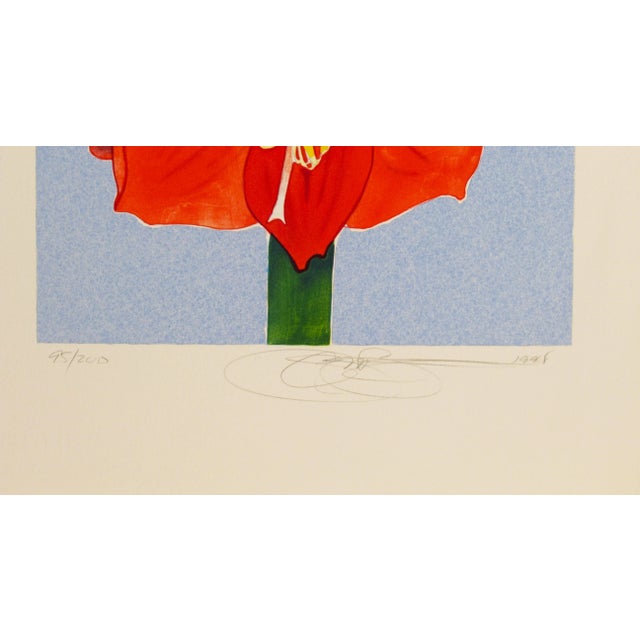 Gary Bukovnik, Amaryllis, 1998 For Sale - Image 4 of 8