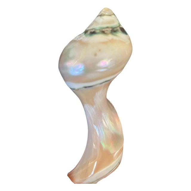 20th Century Organic Sculptural Mother-of-Pearl Shell Caviar Serving Spoon For Sale In Baltimore - Image 6 of 9