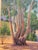 Plein Air California Landscape Painting by Robert F. Williams Dated 1954 For Sale - Image 4 of 6