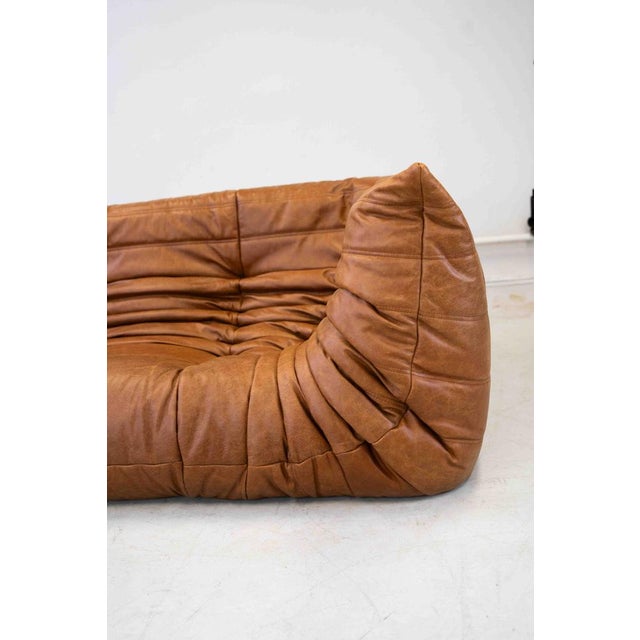 Vintage Two-Seater Togo Sofa with Arms in Brown Pine Leather by Michel Ducaroy for Ligne Roset, 1970s For Sale - Image 9 of 18