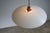 1534 Natural Pendant attributed to Luxus in Teak & Acrylic Glass, 1960s For Sale - Image 9 of 10