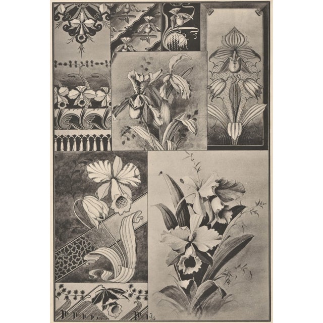This is a c1900 vintage French "Etudes D'Orchidees" (Study of Orchids) published in Paris. It was part of a collection of...