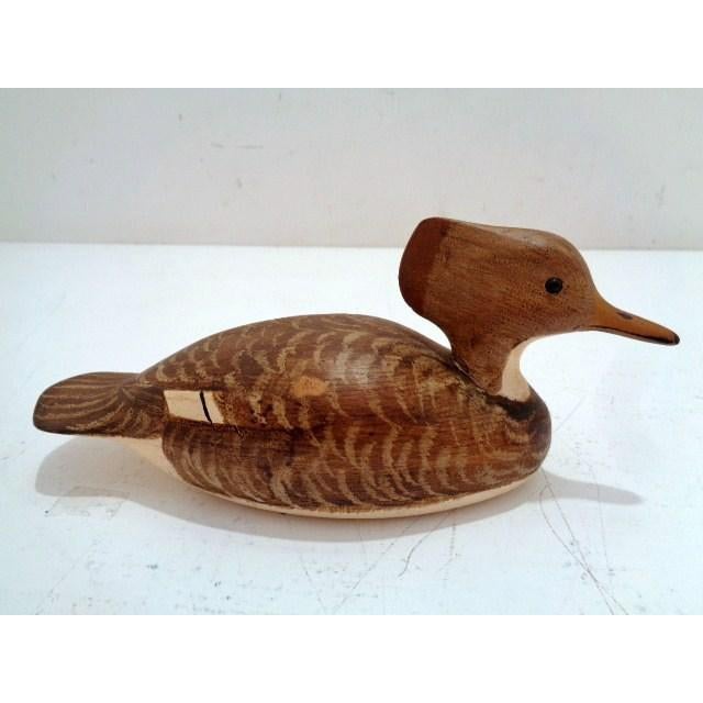 Mid 20th Century Merganser Duck Decoys by Virginia Artist Herb Daisey