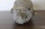 Chinese 15th Century & Earlier Authentic Northern Wei Buddha Head Fragment - 8” For Sale - Image 3 of 8