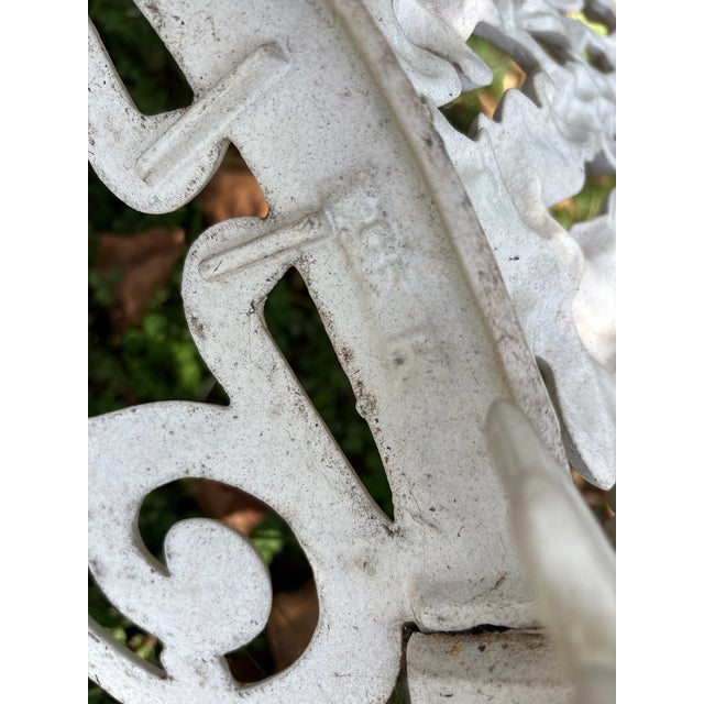 Late 19th Century White Cast Iron Grapevine Garden Set, 4 Pieces For Sale - Image 13 of 13
