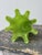Vintage Lime Green Handblown Glass Undulating Vessel, Circa 1960s For Sale - Image 9 of 17