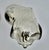 Staffordshire Flower Basket Spaniel Dogs, Pair, Black and White England 19th Century For Sale - Image 12 of 17