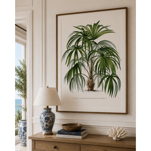 Illustration Vintage Palm Tree Illustration, Botanical Art Print Reproduction by Denterghem, 20" X 30" For Sale - Image 3 of 9