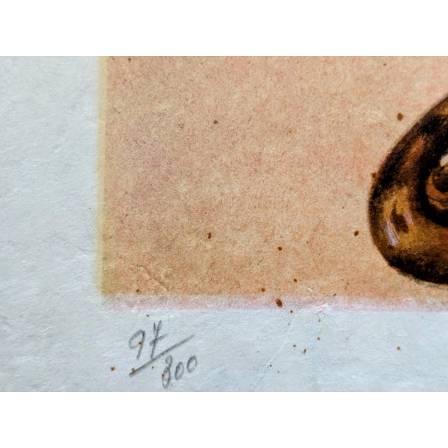 1970s Salvador Dali, Three Surrealist Women Holding in Their Arms the Skins of an Orchestra, Original Lithograph, 1970s For Sale - Image 5 of 7