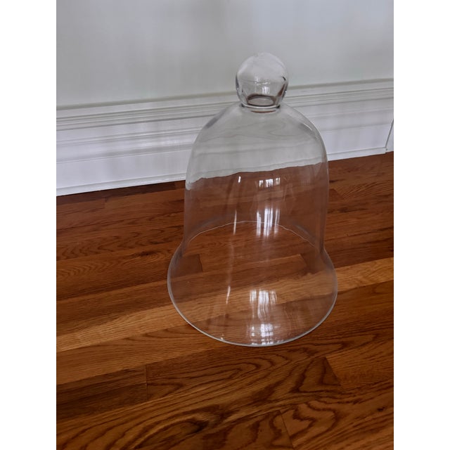 Decorative or practical cloche. Creates hydration for plants or covers food items.