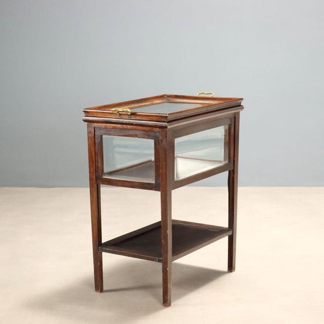 19th Century Walnut Display Table, Italy For Sale - Image 11 of 12