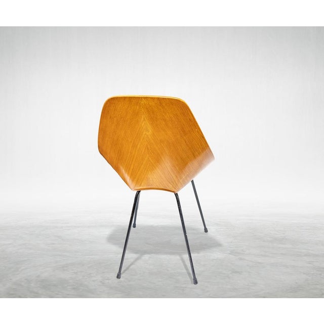 Medea Chairs by Vittorio Nobili, Italy, 1955, Set of 4 For Sale - Image 4 of 6