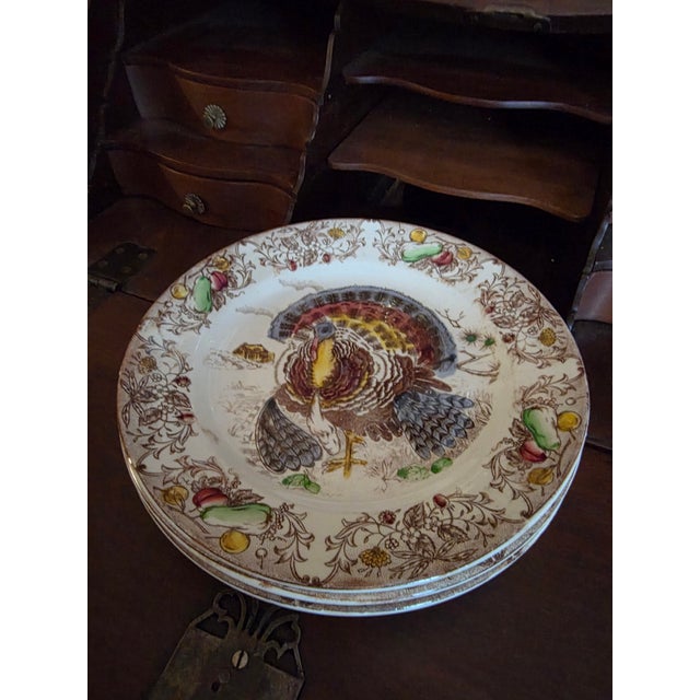 Traditional Vintage Turkey Dinner Plates - 4 pcs For Sale - Image 3 of 8