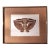 1975 Elaine B. Rothwell Original Etching "Two or Three Owls" - Framed 1/25 First Impression For Sale