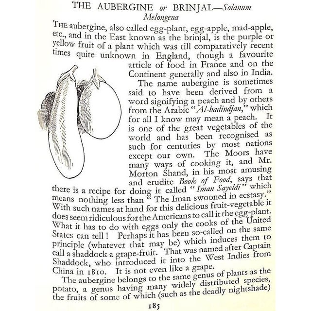 Paper "The Book of Vegetable Cookery Usual and Unusual" 1931 Sherson, Erroll For Sale - Image 7 of 12