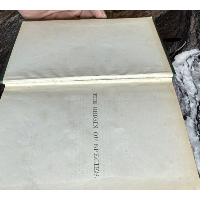 Charles Darwin the Origin of Species 1875 London Sixth Ed. Fifteenth Thousand. For Sale - Image 16 of 17
