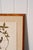 Traditional Framed Herbarium (Finland, C. 1928-30) Float Mount in Custom Burl Frame For Sale - Image 3 of 6