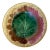 Griffin Smith & Hill Maple Leaf Etruscan Majolica Plate For Sale