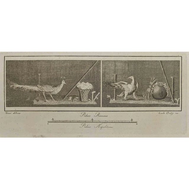 Ancient roman fresco from the series "antiquities of herculaneum", is an etching on paper realized by carlo oratij in the...